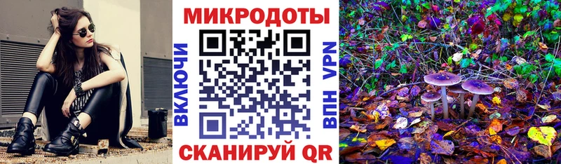 продажа наркотиков ссылка на мегу зеркало это формула Удачный Псилоцибиновые грибы мицелий