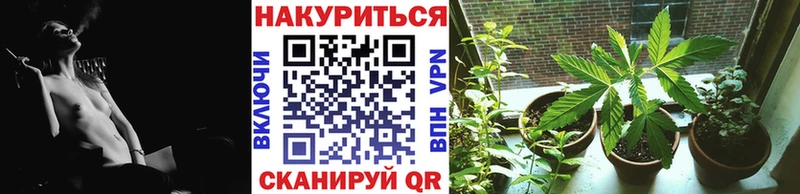 Бошки Шишки Bruce Banner  Удачный 
